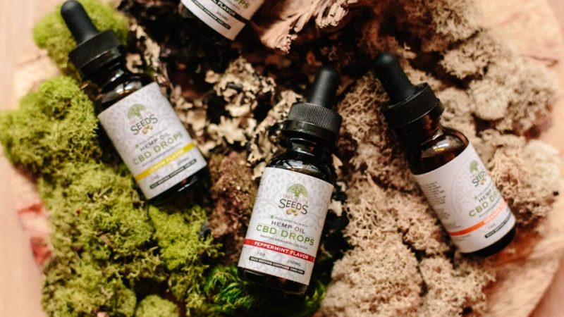 Семена конопли Tutankhamon feminised от Pyramid Seeds