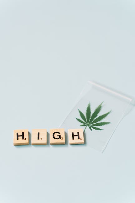 Семена конопли Cannalope Haze regular от DNA Genetics