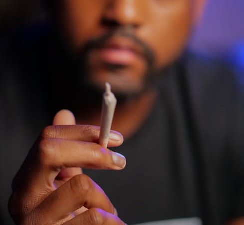 Семена конопли Snow Leopard feminised от Bang Seeds