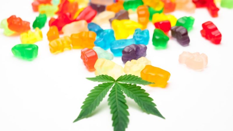 Семена Конопли Do-Si-Dos Feminised от Pyramid Seeds