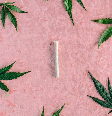 Посадка семян конопли в землю основные этапы и нюансы процесса