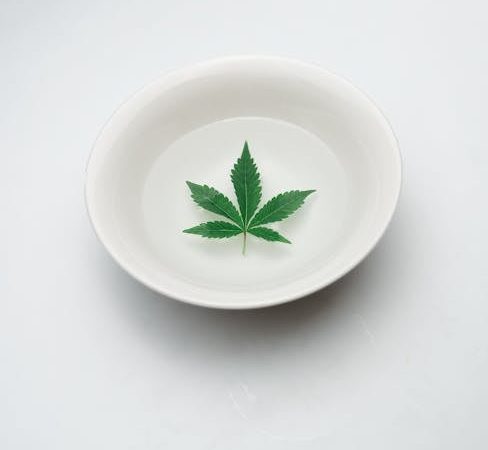 Сортовые семена марихуаны