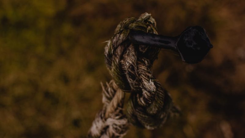 Феминизированные автоцветущие семена конопли преимущества и особенности выращивания