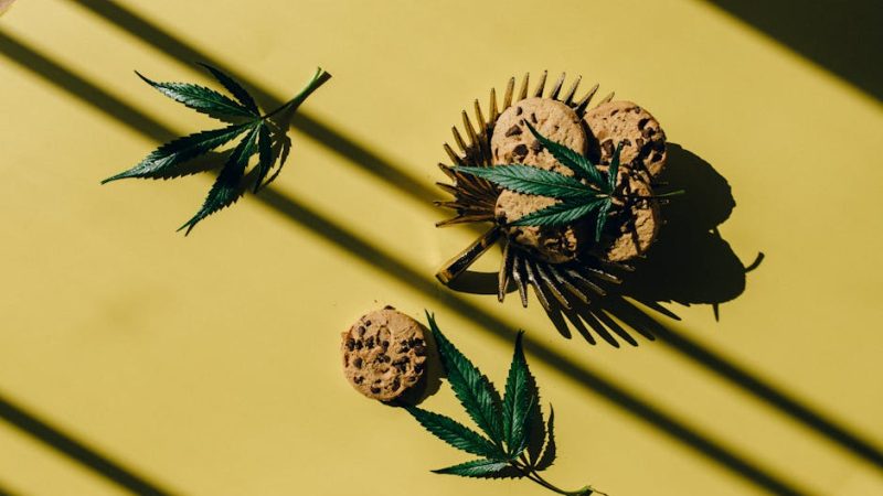 Покупка семян конопли в Новосибирске: где и как приобрести качественные семена