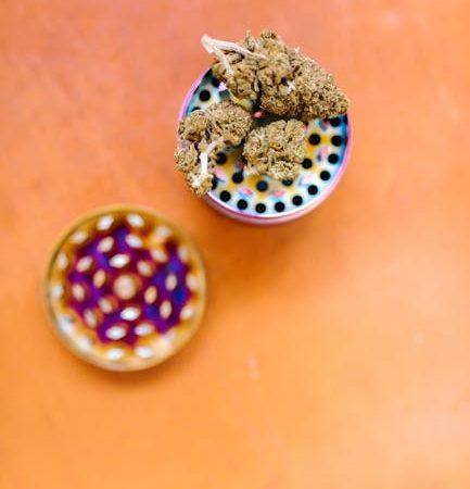 Выращивание семян конопли