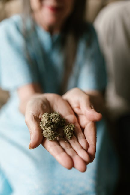 Семена конопли Auto Critical Jack feminised от Ganja Seeds