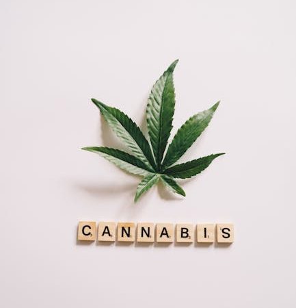 Семена конопли Point regular от Ganja Seeds