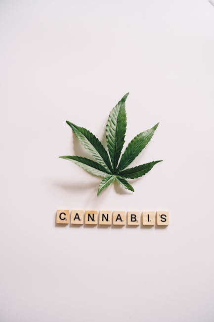 Семена конопли Point regular от Ganja Seeds