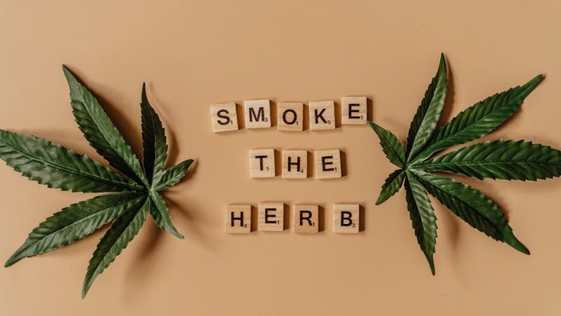 Доставка семян конопли курьером особенности и преимущества