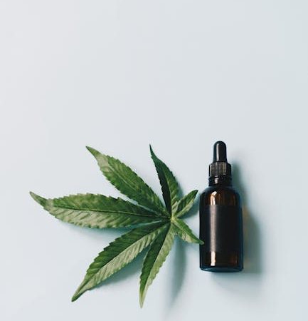 Карликовые сорта марихуаны преимущества и особенности выращивания