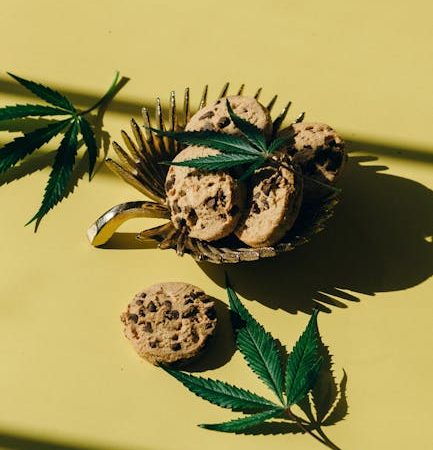 Сорт конопли Auto White Berry feminised от Ganja Seeds