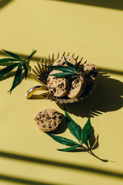 Сорт конопли Auto White Berry feminised от Ganja Seeds