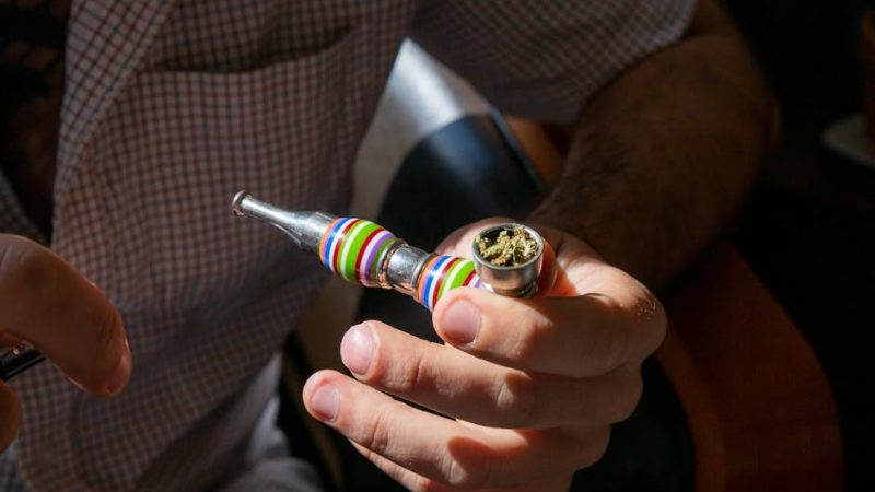 Семена конопли Mendocino Purple Kush feminised от Medical Seeds