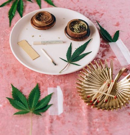 Семена конопли полезные свойства и применение