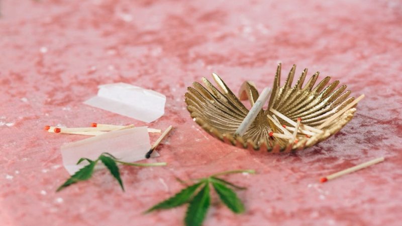 Семена конопли Super Skunk feminised от Ganja Seeds