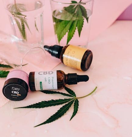 Замачивание и проращивание семян конопли и уход за ростками