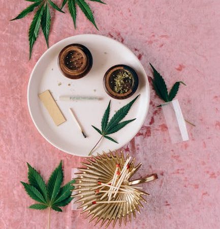 Почему не всходят семена марихуаны и как повысить шансы на прорастание