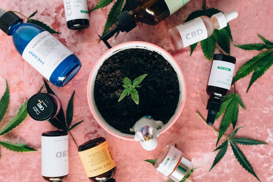 Семена конопли Umai feminised от Bang Seeds