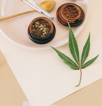 Сорт каннабиса Auto Big Skunk от Ganja Seeds