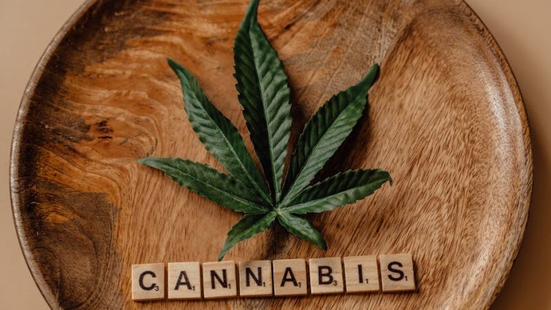 Семена конопли Auto Californian Orange feminised от Ganja Seeds