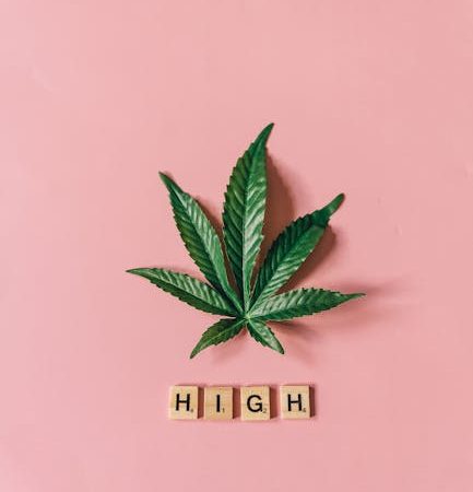 Семена конопли Alpujarrena feminised от Pyramid Seeds