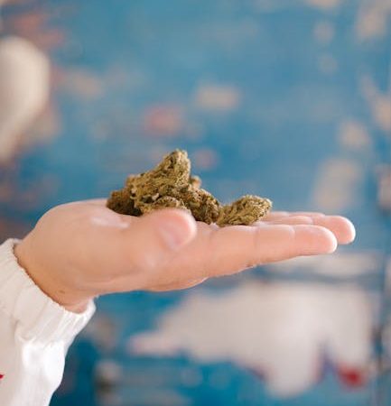 Семена конопли полезные свойства и применение