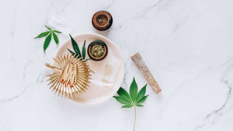 Строение и свойства семян конопли