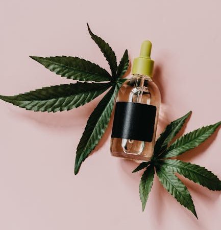 Когда собирать семена конопли