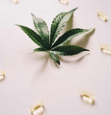 Сорт конопли Over Dawg feminised от Medical Seeds