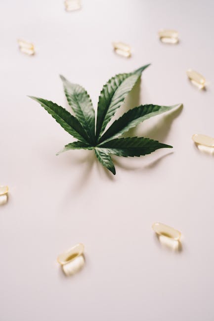 Сорт конопли Over Dawg feminised от Medical Seeds