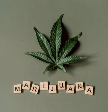 Очищенные семена конопли питательная ценность и применение