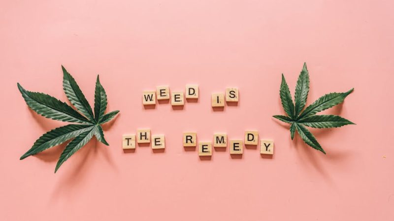 Покупка семян марихуаны в Польше: законодательство и рекомендации