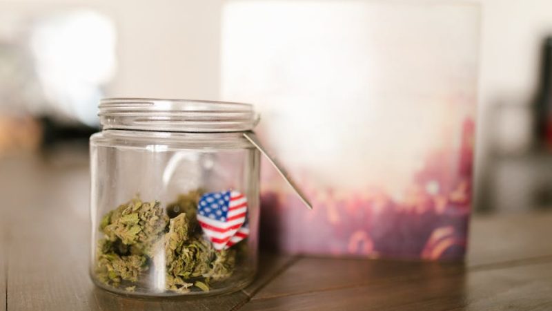 Топ магазин семян конопли и их преимущества