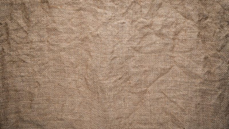 Сорт конопли Auto Shark regular от Ganja Seeds