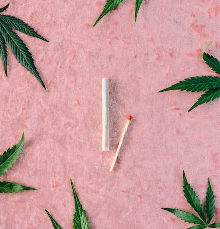 Покупка семян конопли через интернет: особенности и критерии выбора надежного поставщика