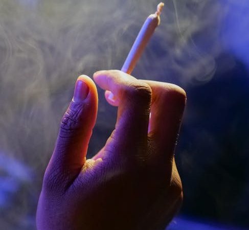 Выращивание марихуаны для семян