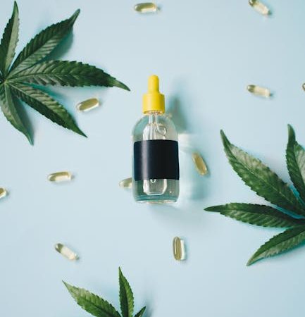 Семена марихуаны: все аспекты и особенности выращивания