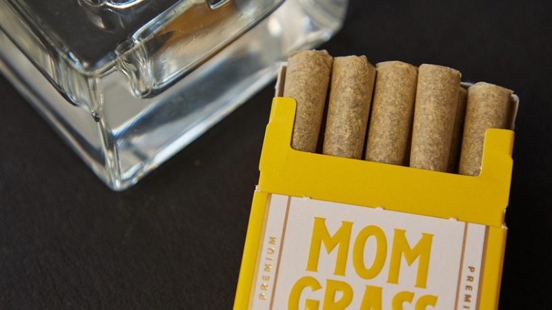 Использование попугаев для получения семян конопли