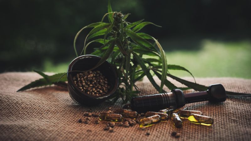 Где купить семена конопли в Екатеринбурге