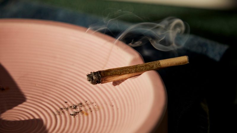 Семена конопли Afgooey feminised от Strain Hunters Seeds