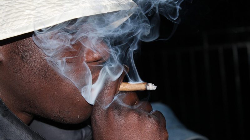 Семена конопли в Санкт-Петербурге: преимущества и способы покупки