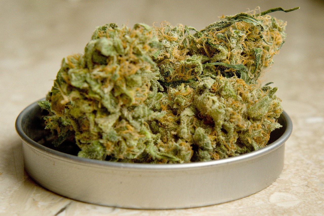 Семена конопли Bubblelicious от Nirvana Seeds
