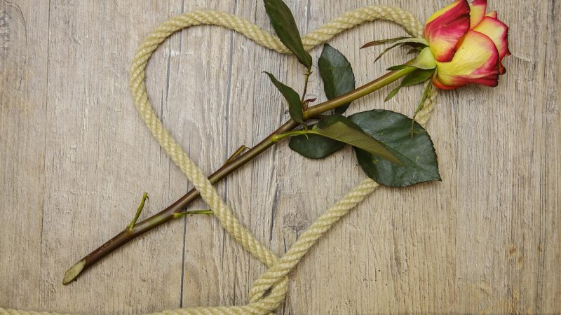 Сорт конопли Белая вдова особенности выращивания и где купить семена