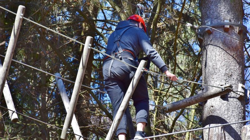 Лущение семян конопли и их применение