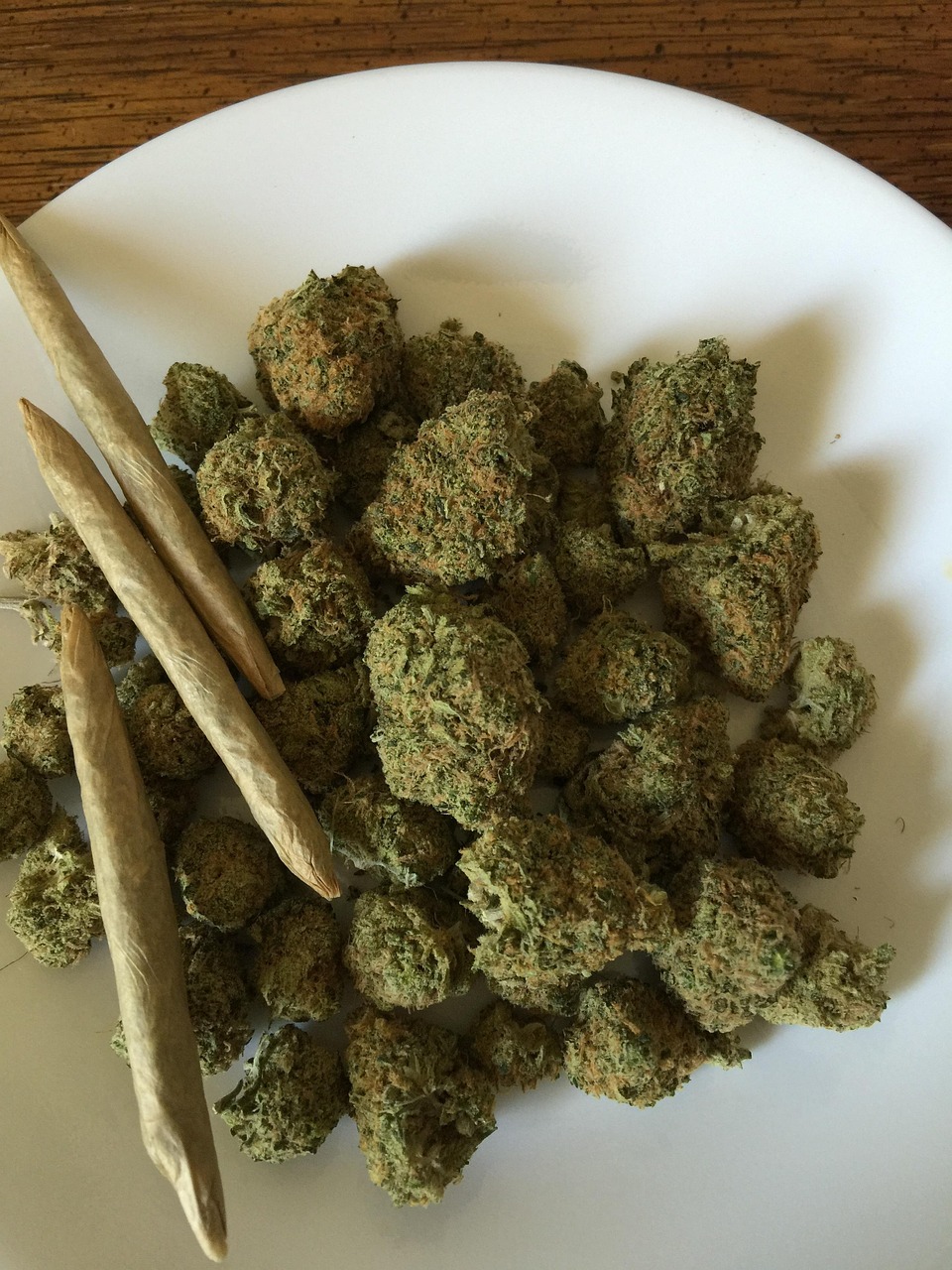 Семена конопли Big Foot feminised от Sweet Seeds