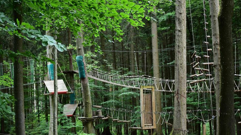 Онлайн магазины семян конопли преимущества и выбор сорта