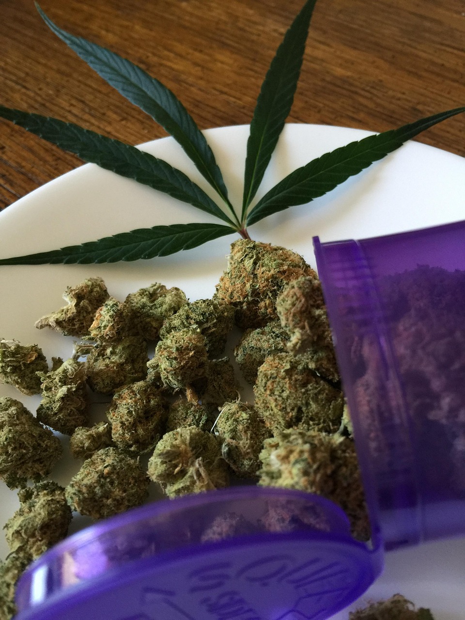 Семена конопли White Willow regular от Ganja Seeds
