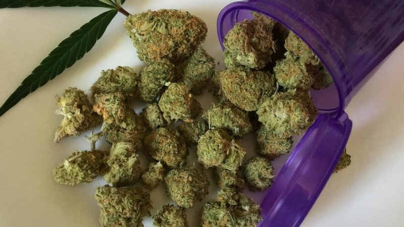 Полезные свойства семян конопли и их использование в кулинарии