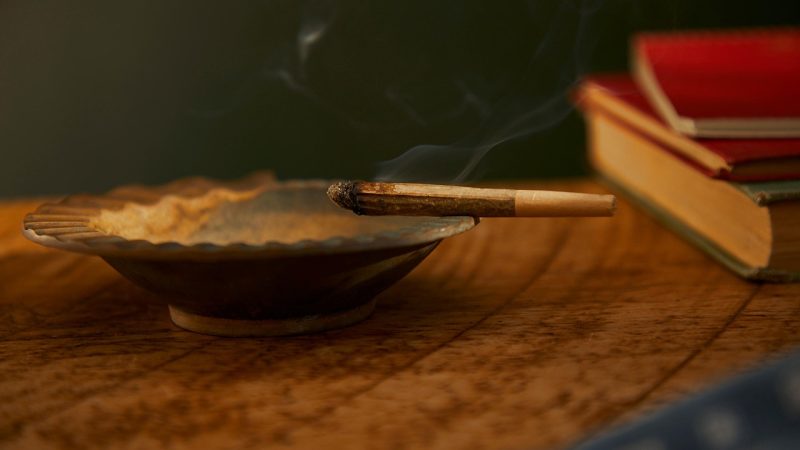 Семя конопли полезные свойства и где купить