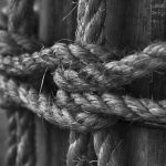 Как купить дешевые семена марихуаны без ущерба для качества image_119.jpg